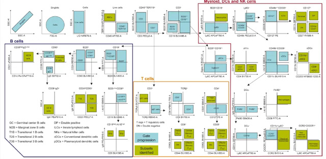 wx_fmt=png&tp=webp&wxfrom=5&wx_lazy=1(1).jpg